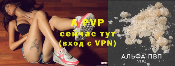 круглые Аркадак