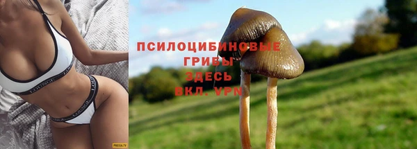 таблы Армянск