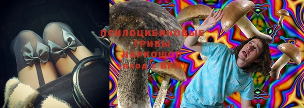 круглые Аркадак