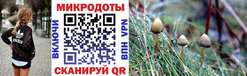 Галлюциногенные грибы ЛСД  MEGA рабочий сайт  Белозерск 